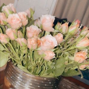 Meet your Posher, Anahit